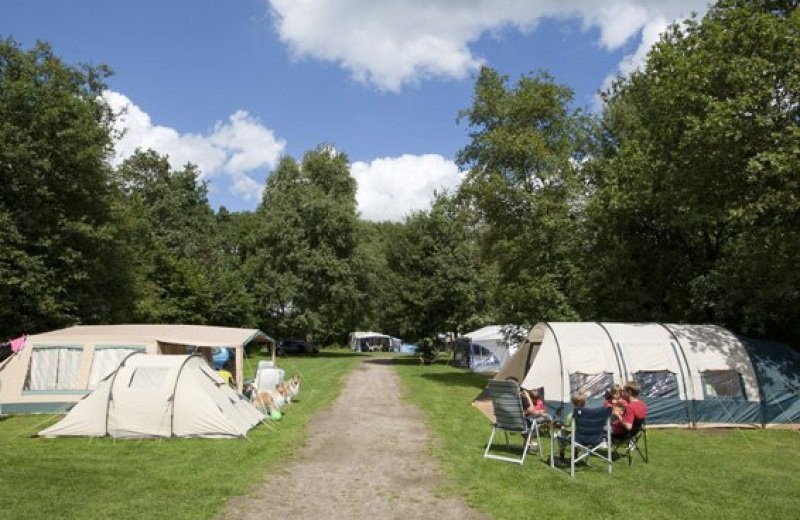 camping in groningen