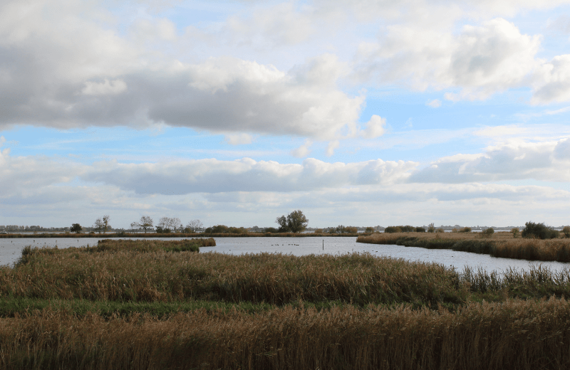 De natuur van Friesland